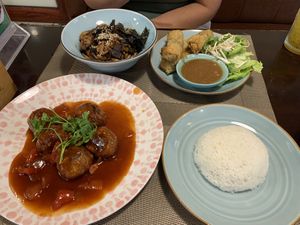 Vegan meatballs, black bean noodles and hanoi fried spring rolls  at The Veg - Organic Vego and Tea in Hanoi