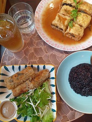 Hanoi spring rolls and tofu stuffed with mushrooms at The Veg - Organic Vego and Tea in Hanoi
