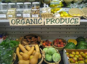 Organic local/seasonal produce  at Simple Abundance in Red Wing