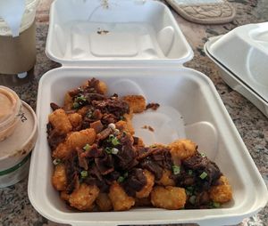 Animal Tots  at J Selby's in St Paul