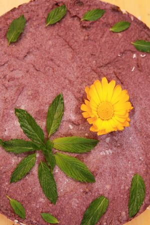 Raw Maqui Berry cake at Amaranthine in Ancud
