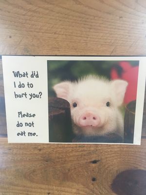 The mascot at Pure Cold Press in Brookline