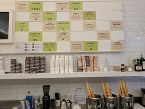 Vegan options in green at Ciacco Gelato Senz'altro in Parma