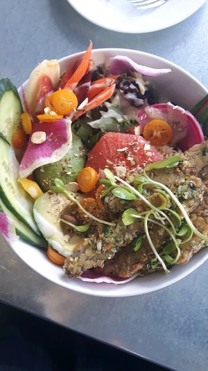 The amazing nourish bowl! at Wild Root Cafe in Boise