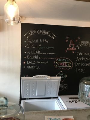 Gelato flavours  at Moitre Helado Vegano in Medellin