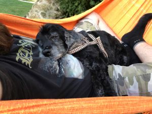 Good place to take a nap at Rancho dos Gnomos in Joanopolis
