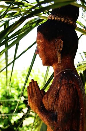 Peace and Tranquility at Soul Vine Cafe in Port Elliot