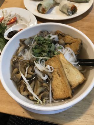 Mushroom tofu noodle soup & fresh spring rolls  at Veggie Saigon - Vietnam & Thai Vegan Restaurant in Ho Chi Minh City