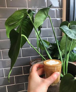 patly flat whites at Sazzy & Fran in East London