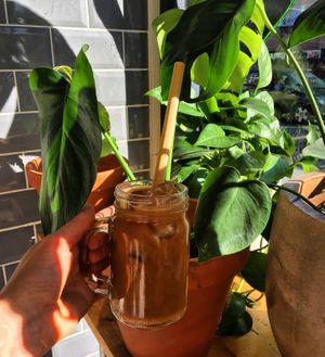 iced oatly latte and plants at Sazzy & Fran in East London