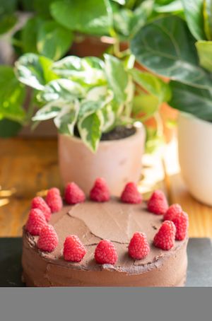 vegan cake at Sazzy & Fran in East London