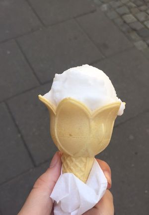 vanilla ice cream  at Lokal Dela Krem in Warsaw