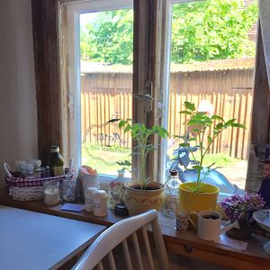 condiments and view into courtyard at Marta Kohvik in Tallinn