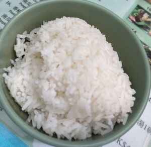Boiled rice  at Yat Sum Vegetarian - 一森素食 - Yau Ma Tei in Kowloon