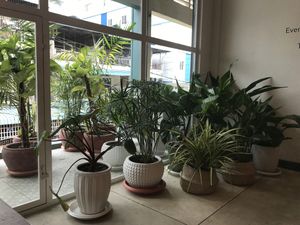 Vibe Café, Phnom Penh  at Vibe Cafe in Phnom Penh