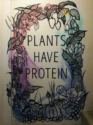 Vibe Café, Phnom Penh  at Vibe Cafe in Phnom Penh