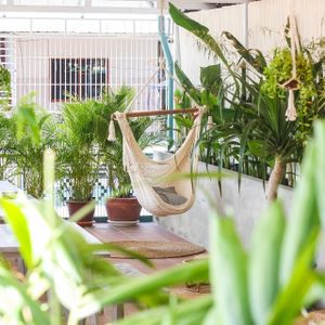 Roof top jungle  at Vibe Cafe in Phnom Penh