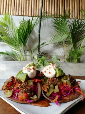 tacos ! at Vibe Cafe in Phnom Penh