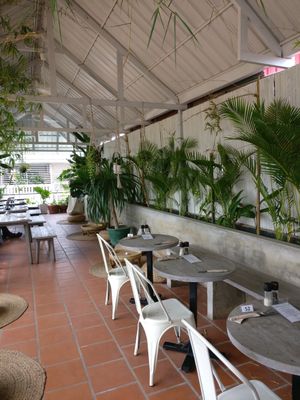 Jungle rooftop at Vibe Cafe in Phnom Penh