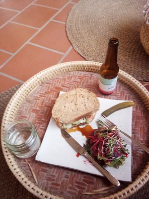 Tempeh sandwich and raspberry Kombucha at Vibe Cafe in Phnom Penh