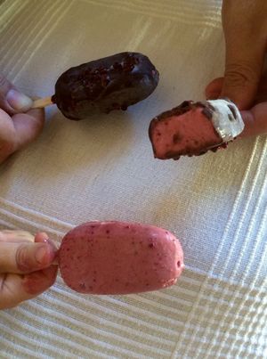 Ice cream vegan & sugarfree at ES VIU Vegetaria i Vins in Mallorca