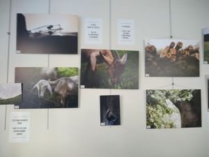 Pictures to sell inside veggie corner at Veggie Corner in Toulouse