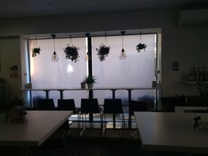 The inside at Veggie Corner in Toulouse