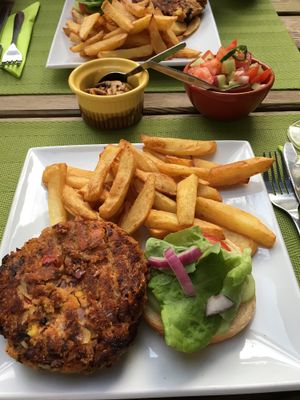 homemade vega burger with homemade frites! at Le Jardin de Froulay in Mayenne