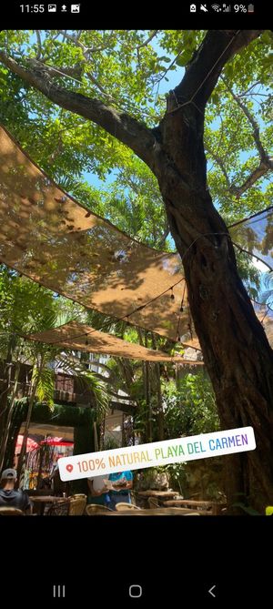 Decor #Veganuary at 100% Natural in Playa Del Carmen