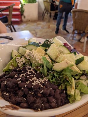 Salad at 100% Natural in Playa Del Carmen