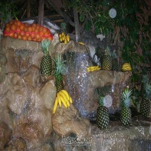 The waterfall in the courtyard at 100% Natural in Playa Del Carmen