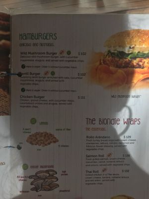 Menu  at 100% Natural in Playa Del Carmen