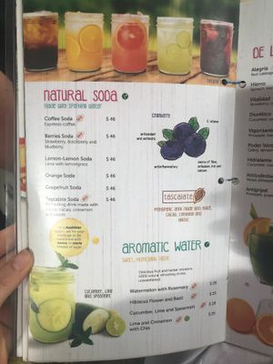 Menu at 100% Natural in Playa Del Carmen