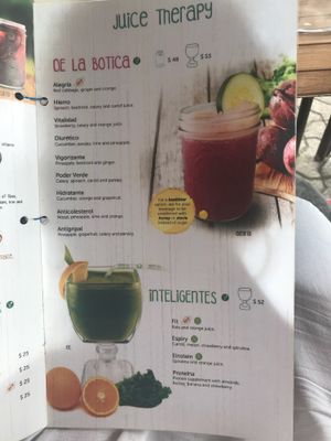 Menu at 100% Natural in Playa Del Carmen