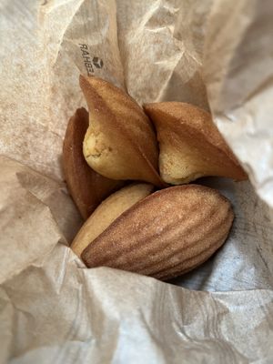 madeleines  at VG Pâtisserie in Paris
