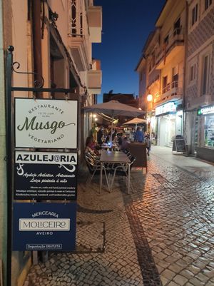 Street view at Musgo in Aveiro