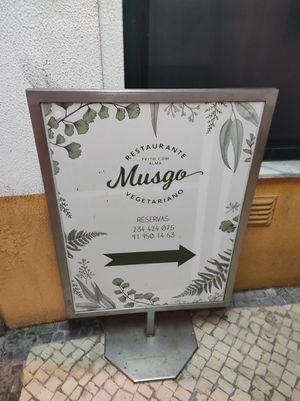 Musgo at Musgo in Aveiro