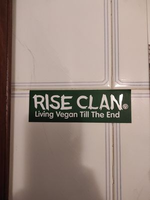 Vegan at Musgo in Aveiro