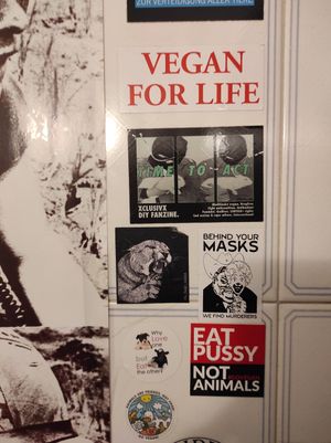 Vegan life at Musgo in Aveiro