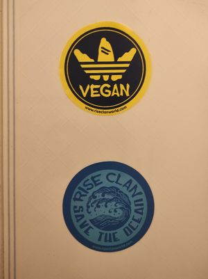 Vegan at Musgo in Aveiro