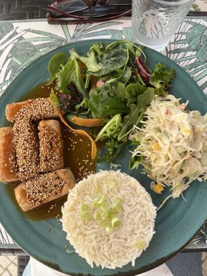 Tofu special with rice, slaw, and saladd  at Musgo in Aveiro