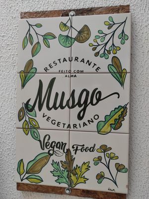 Musgo at Musgo in Aveiro