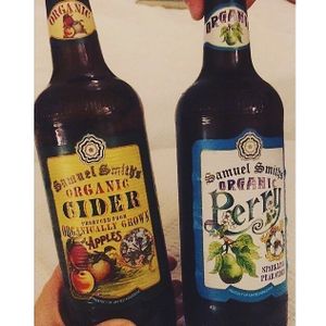 organic cider at Musgo in Aveiro