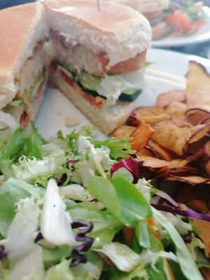 Not fish burger at Musgo in Aveiro