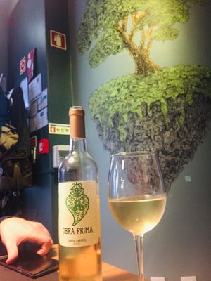 Good selection of wines at Musgo in Aveiro