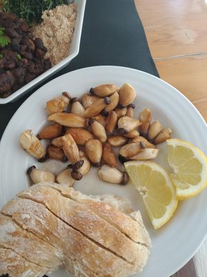 Great mushrooms at Musgo in Aveiro