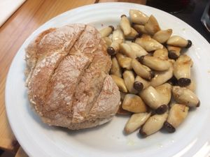 mushroom starter at Musgo in Aveiro