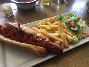 Monument Dog! at The Monument in Canterbury