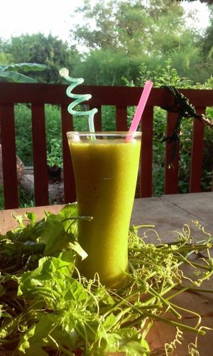 Bananashake with green leafs from the garden at The Garden of Nang in Don Det