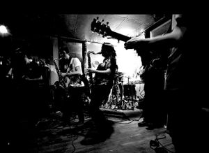 Shows (New apple taste) at L'Escalier in Montreal